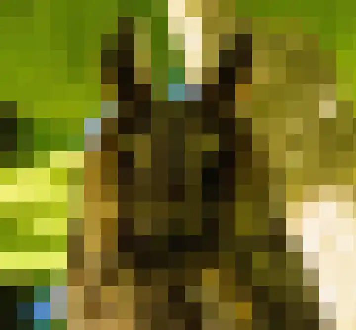 Grytmanswei 1 Nijewier thumbnail 111