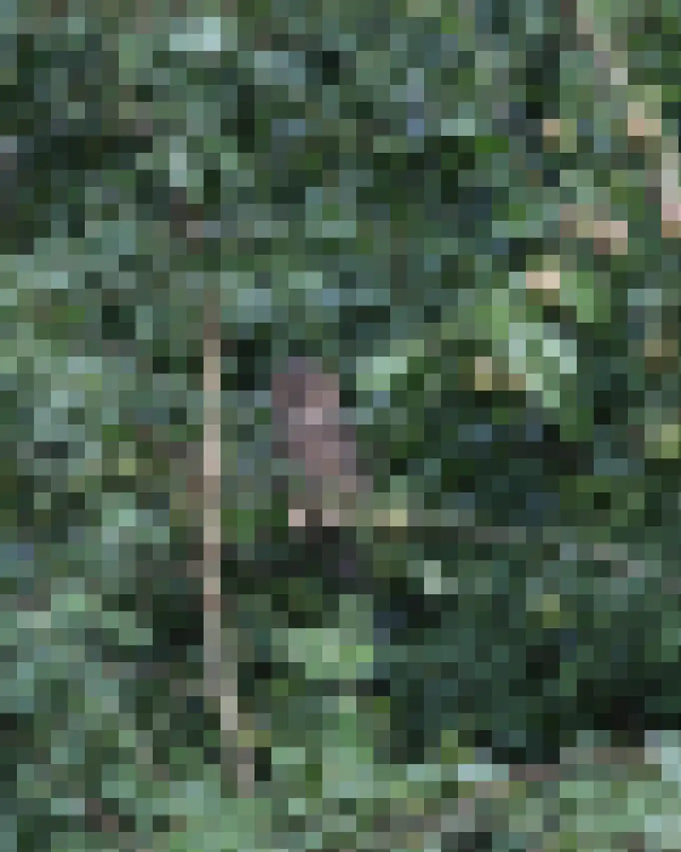 Grytmanswei 1 Nijewier thumbnail 114