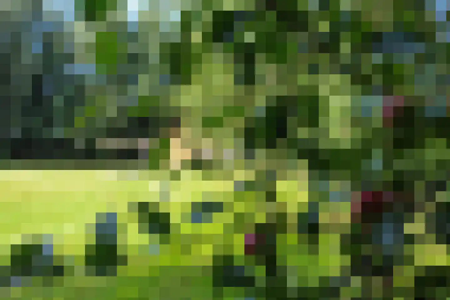 Grytmanswei 1 Nijewier thumbnail 115