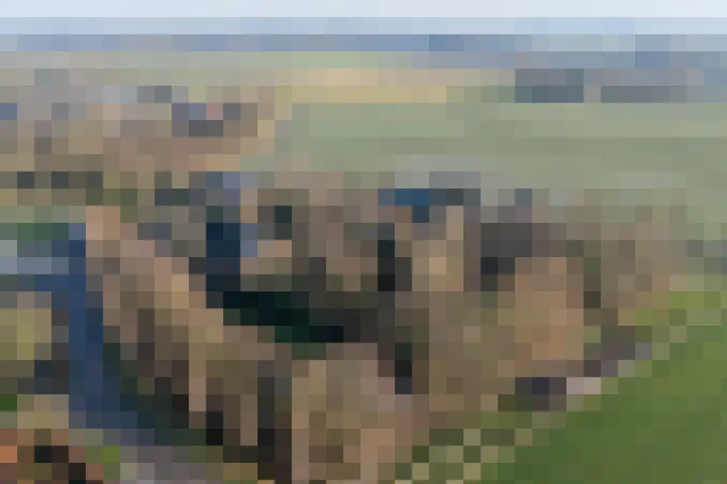 Grytmanswei 1 Nijewier thumbnail 12