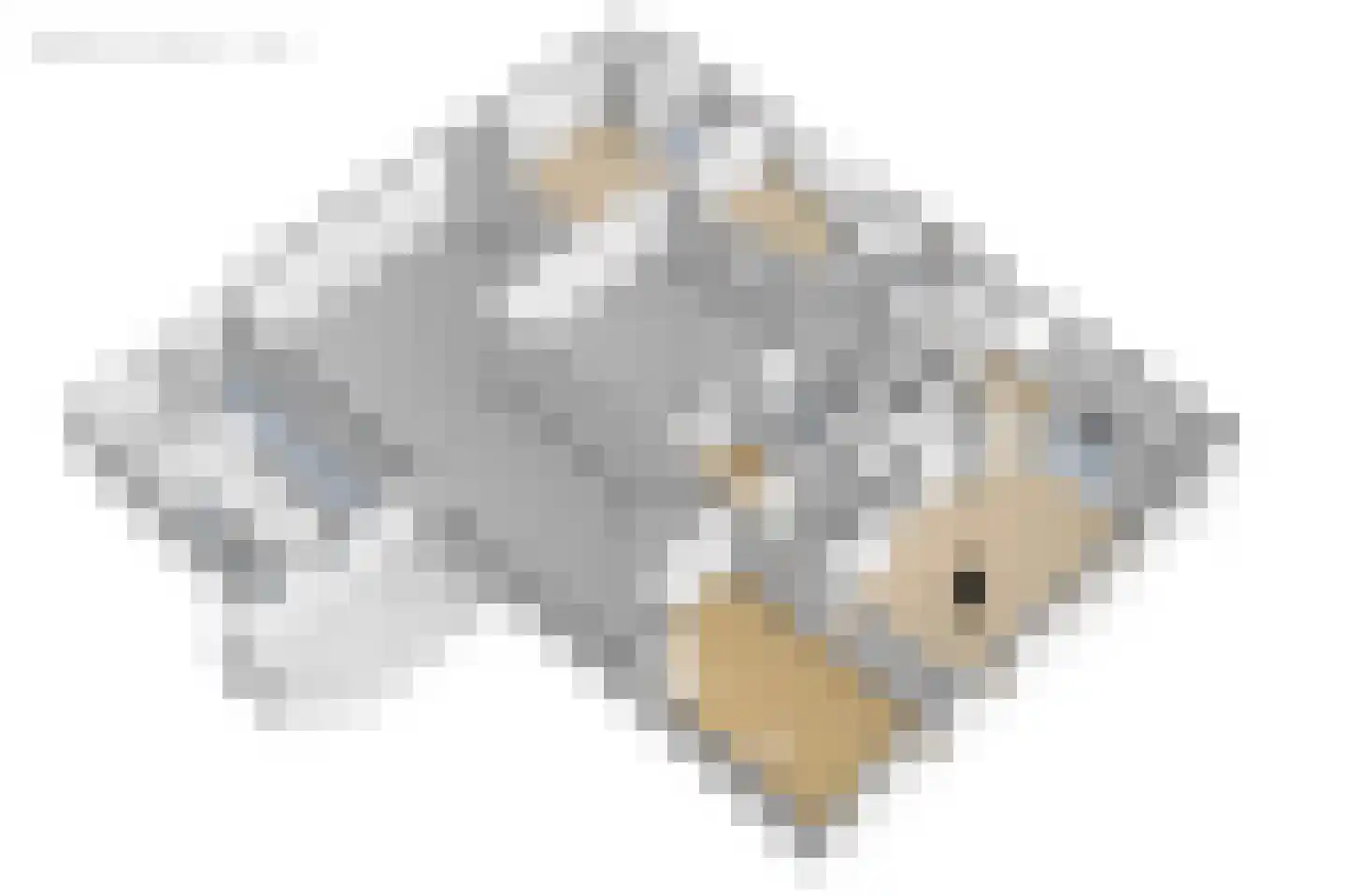 Grytmanswei 1 Nijewier thumbnail 123