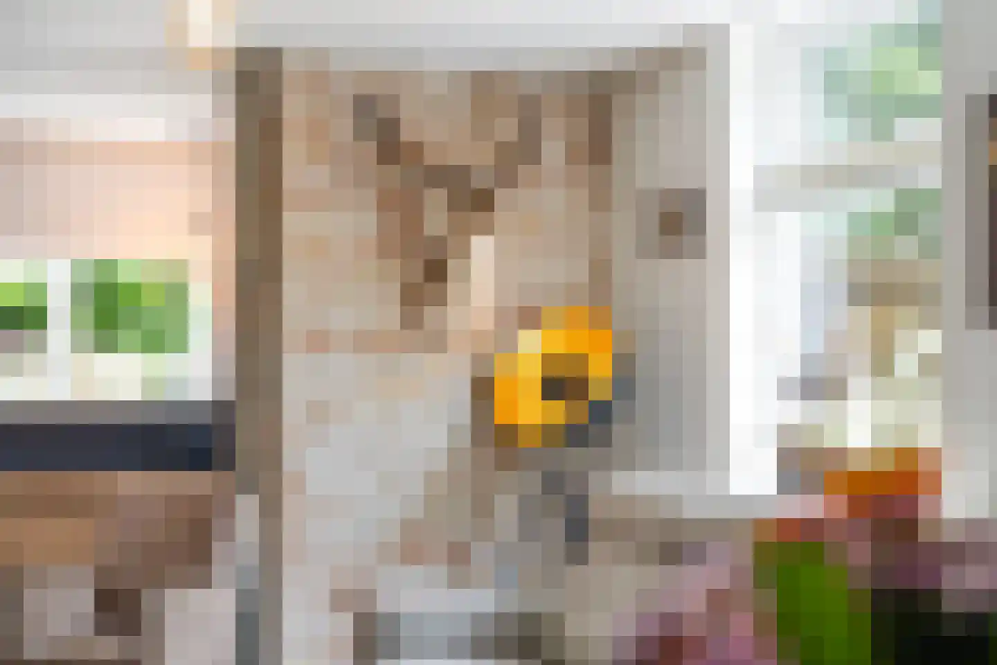 Grytmanswei 1 Nijewier thumbnail 14