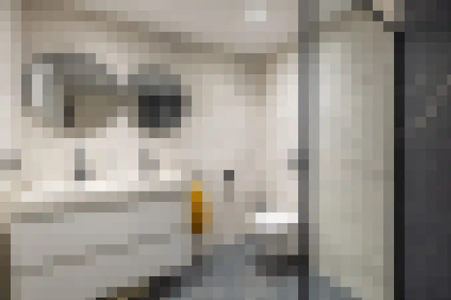 Grytmanswei 1 Nijewier thumbnail 24