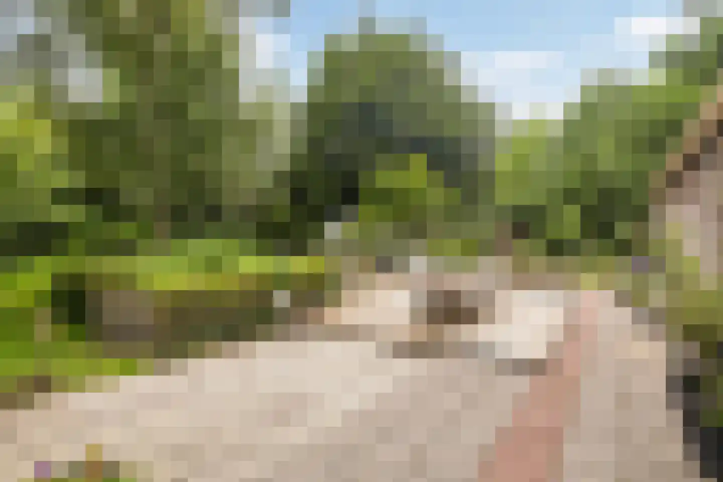 Grytmanswei 1 Nijewier thumbnail 27