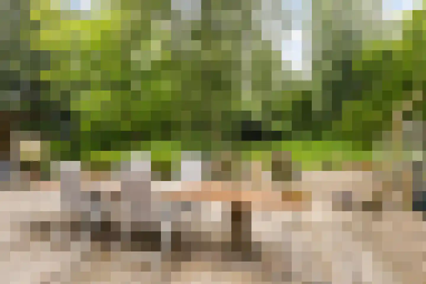 Grytmanswei 1 Nijewier thumbnail 28