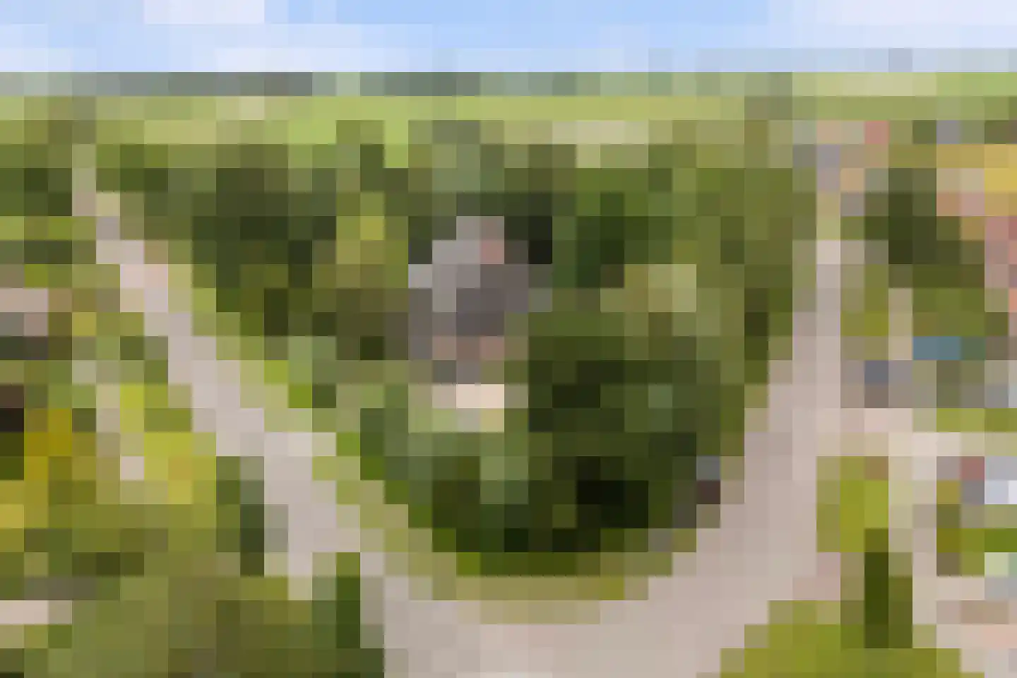 Grytmanswei 1 Nijewier thumbnail 4