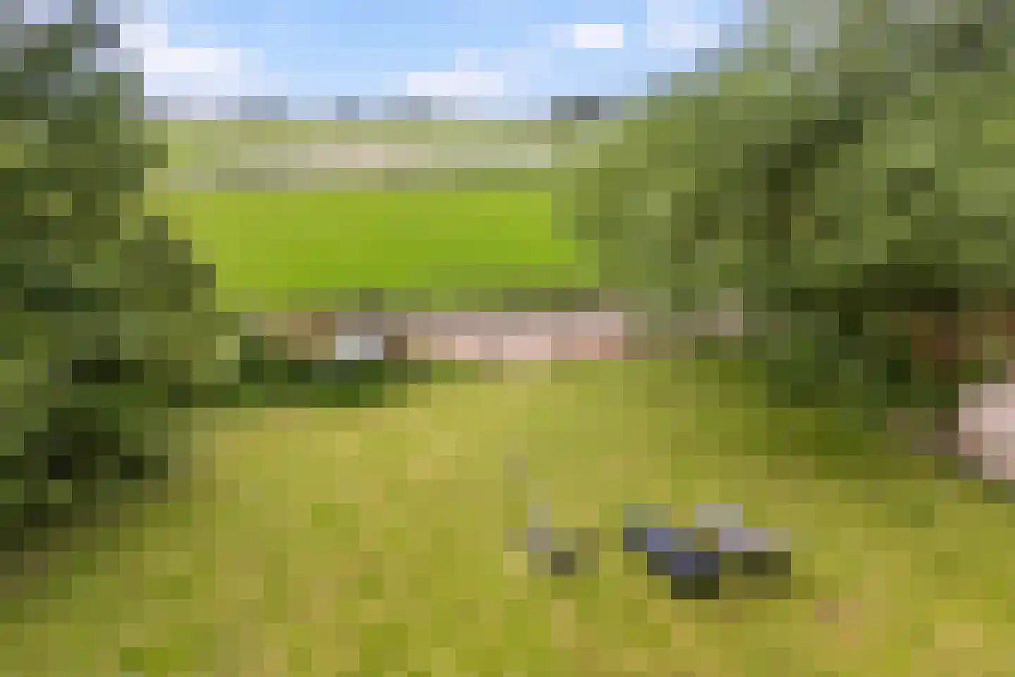 Grytmanswei 1 Nijewier thumbnail 5