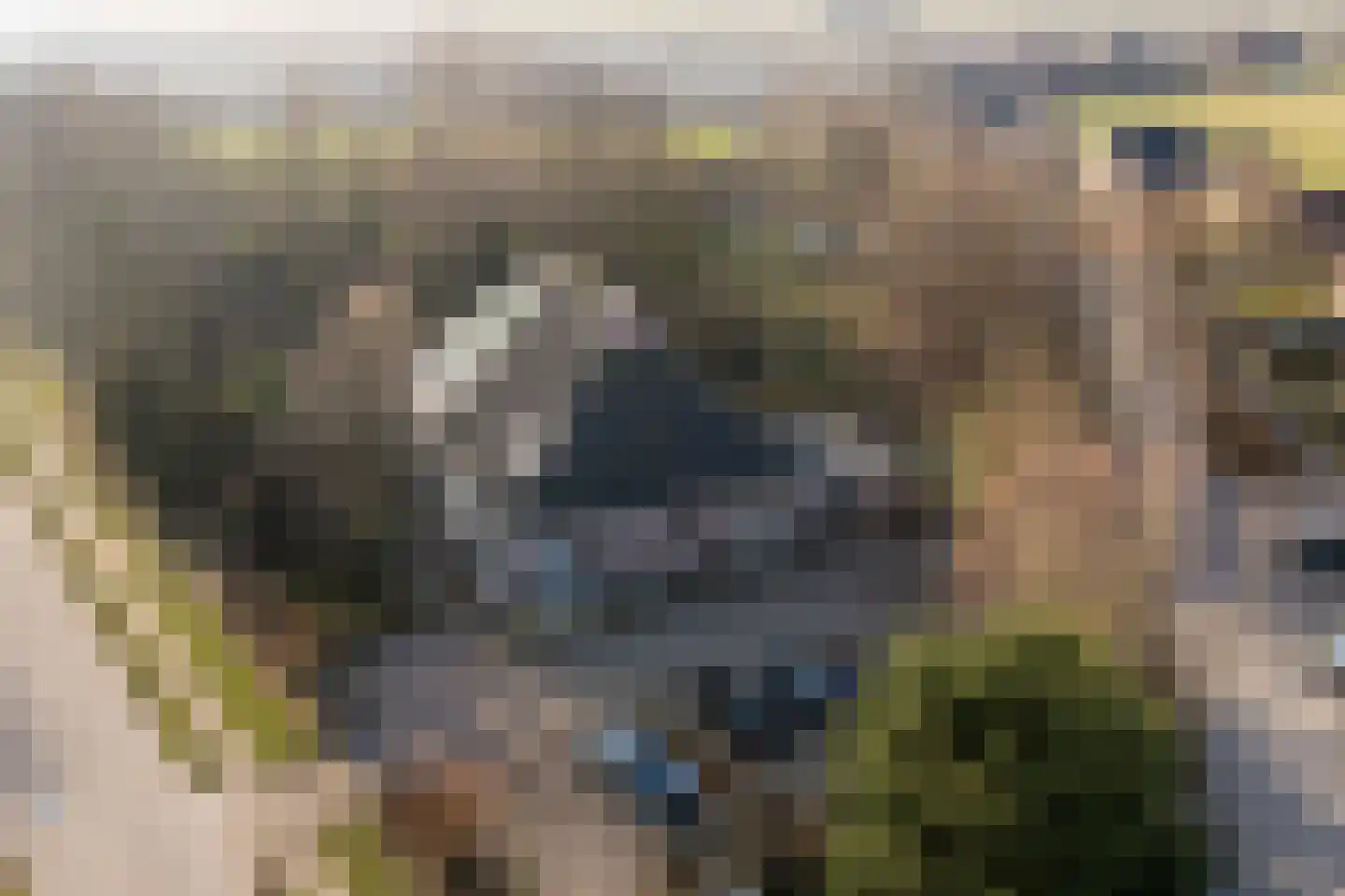 Grytmanswei 1 Nijewier thumbnail 5