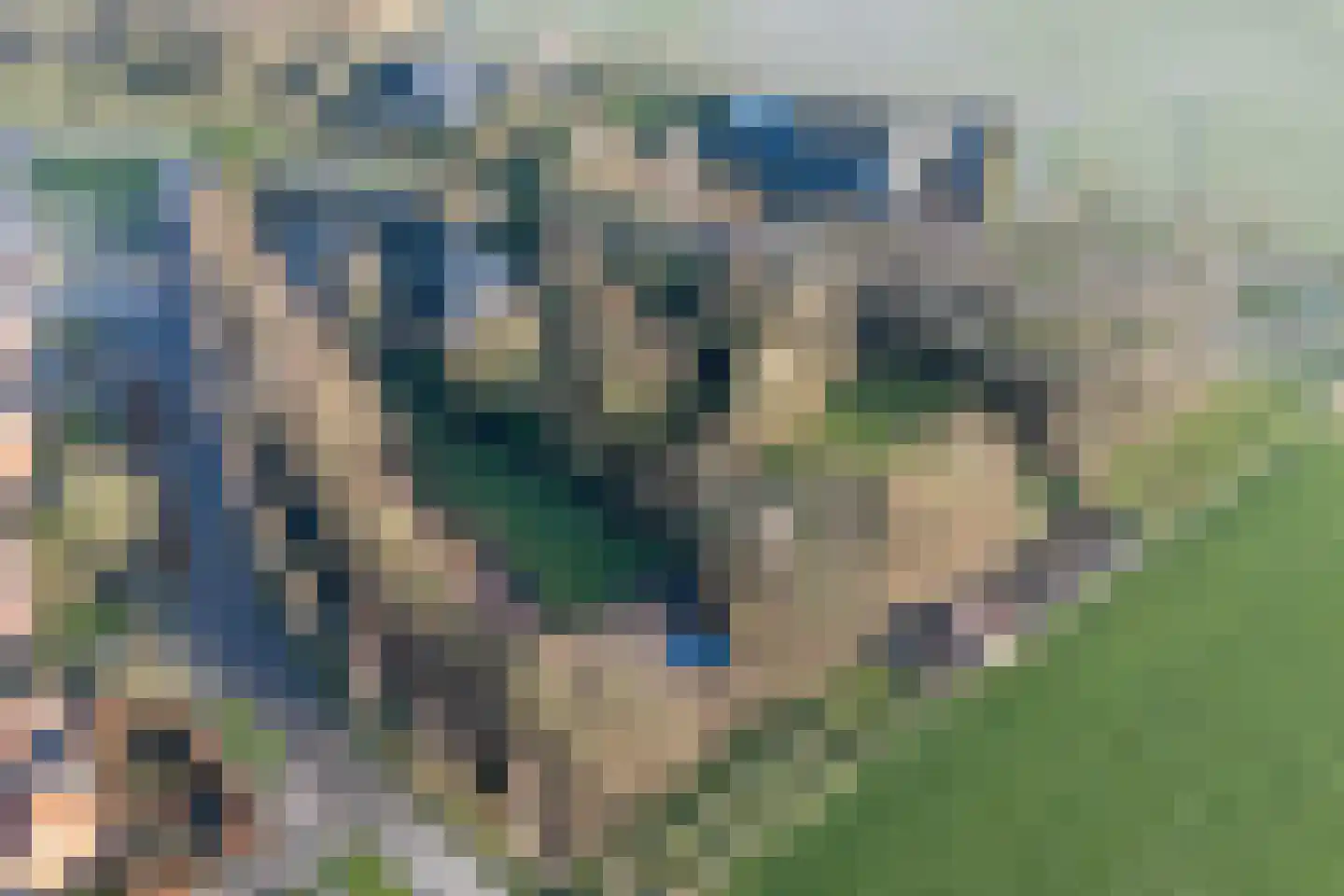 Grytmanswei 1 Nijewier thumbnail 6