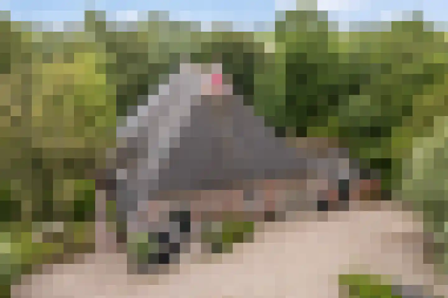Grytmanswei 1 Nijewier thumbnail 6