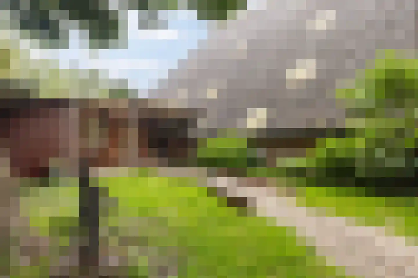 Grytmanswei 1 Nijewier thumbnail 60