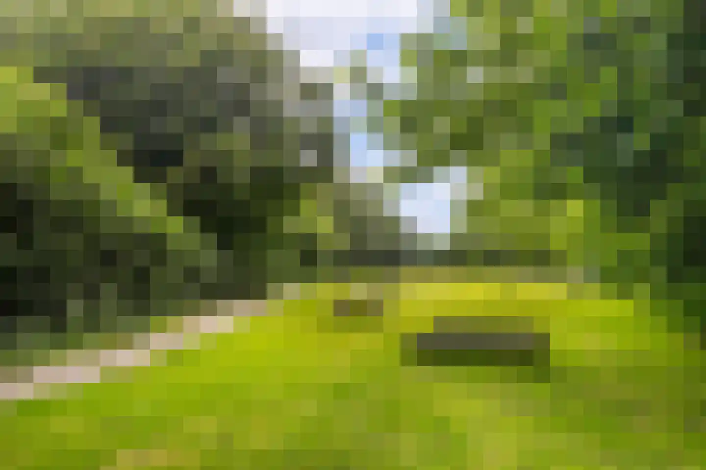 Grytmanswei 1 Nijewier thumbnail 61