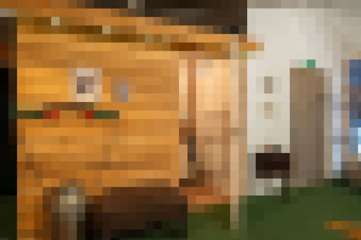 Grytmanswei 1 Nijewier thumbnail 61