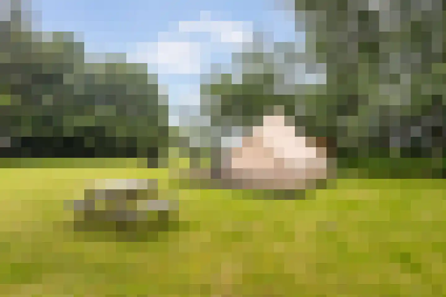 Grytmanswei 1 Nijewier thumbnail 63