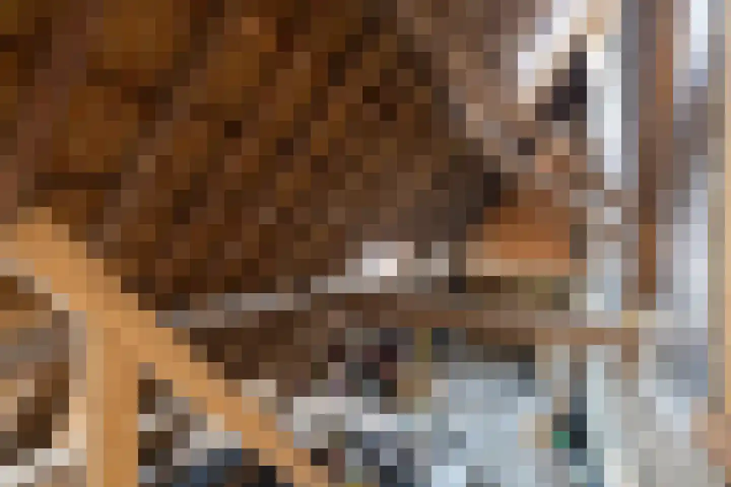 Grytmanswei 1 Nijewier thumbnail 64