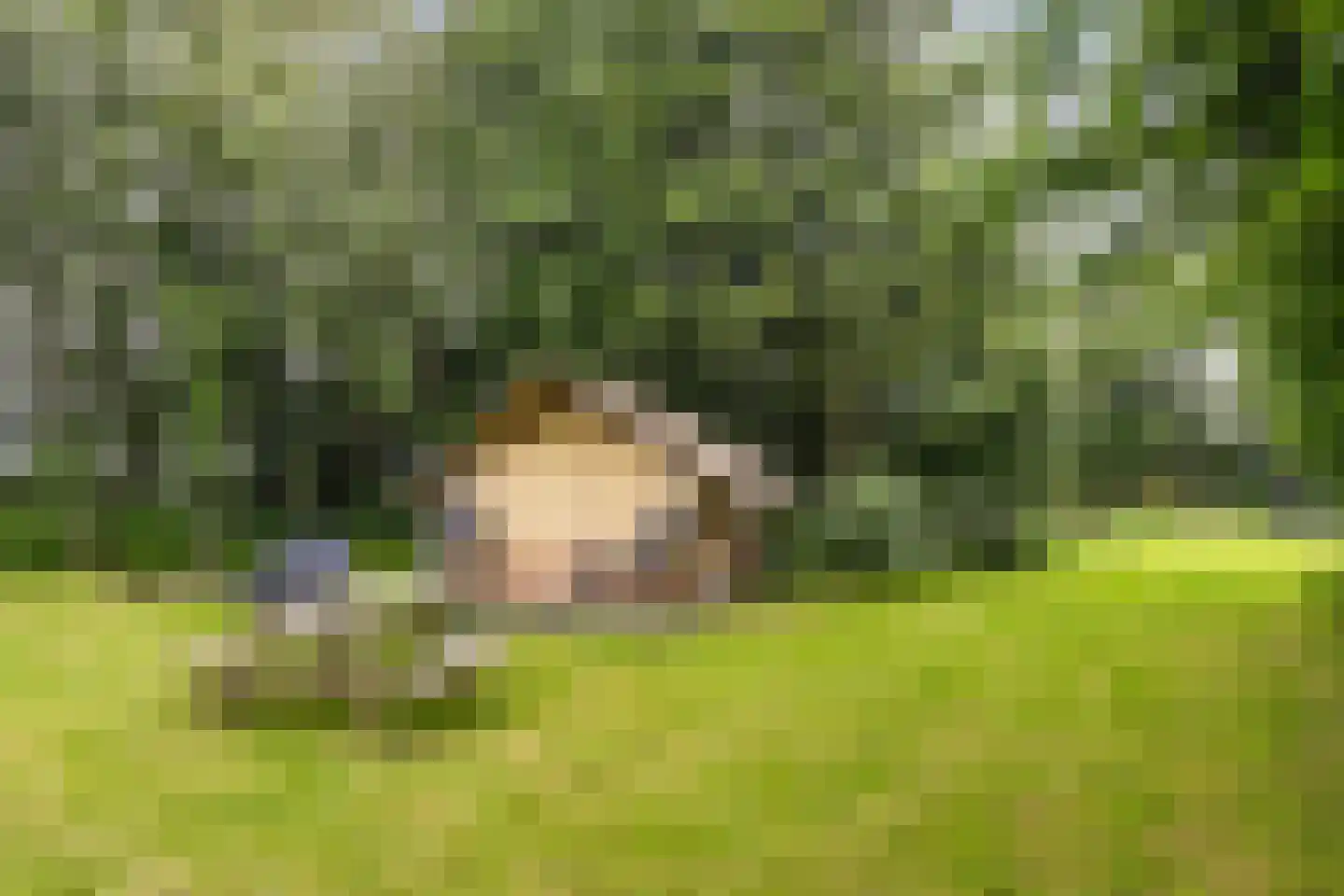 Grytmanswei 1 Nijewier thumbnail 64