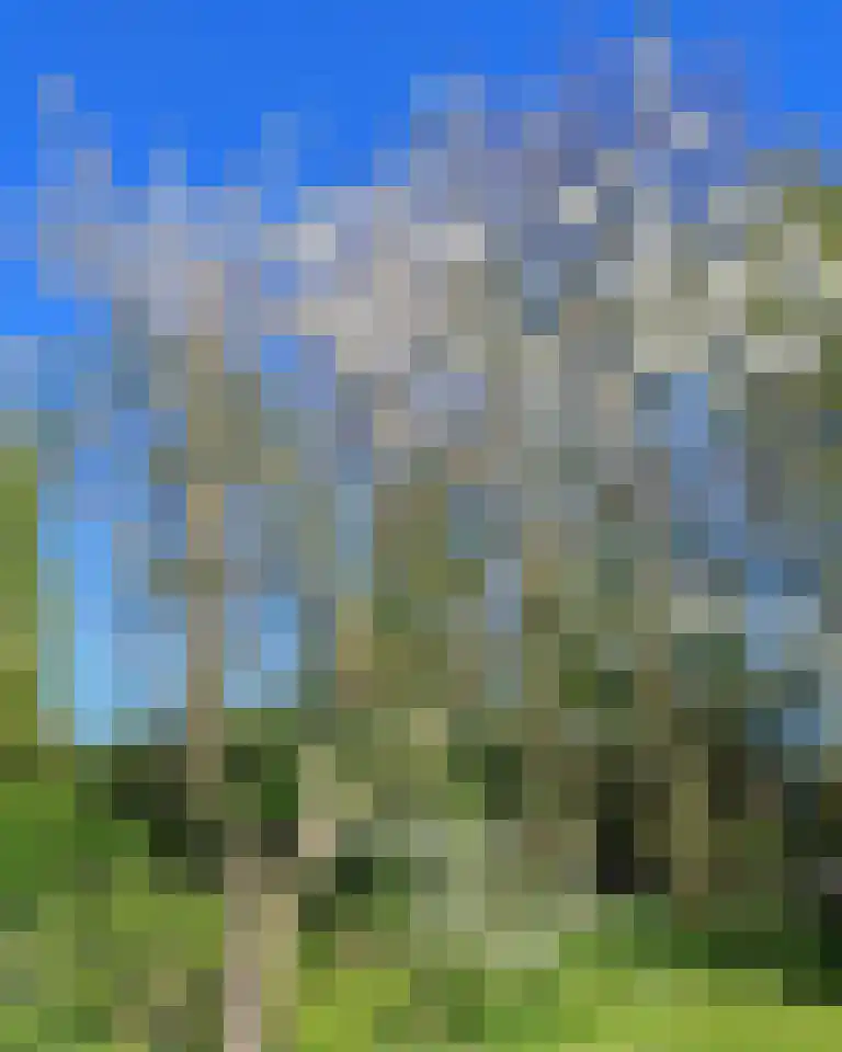 Grytmanswei 1 Nijewier thumbnail 69