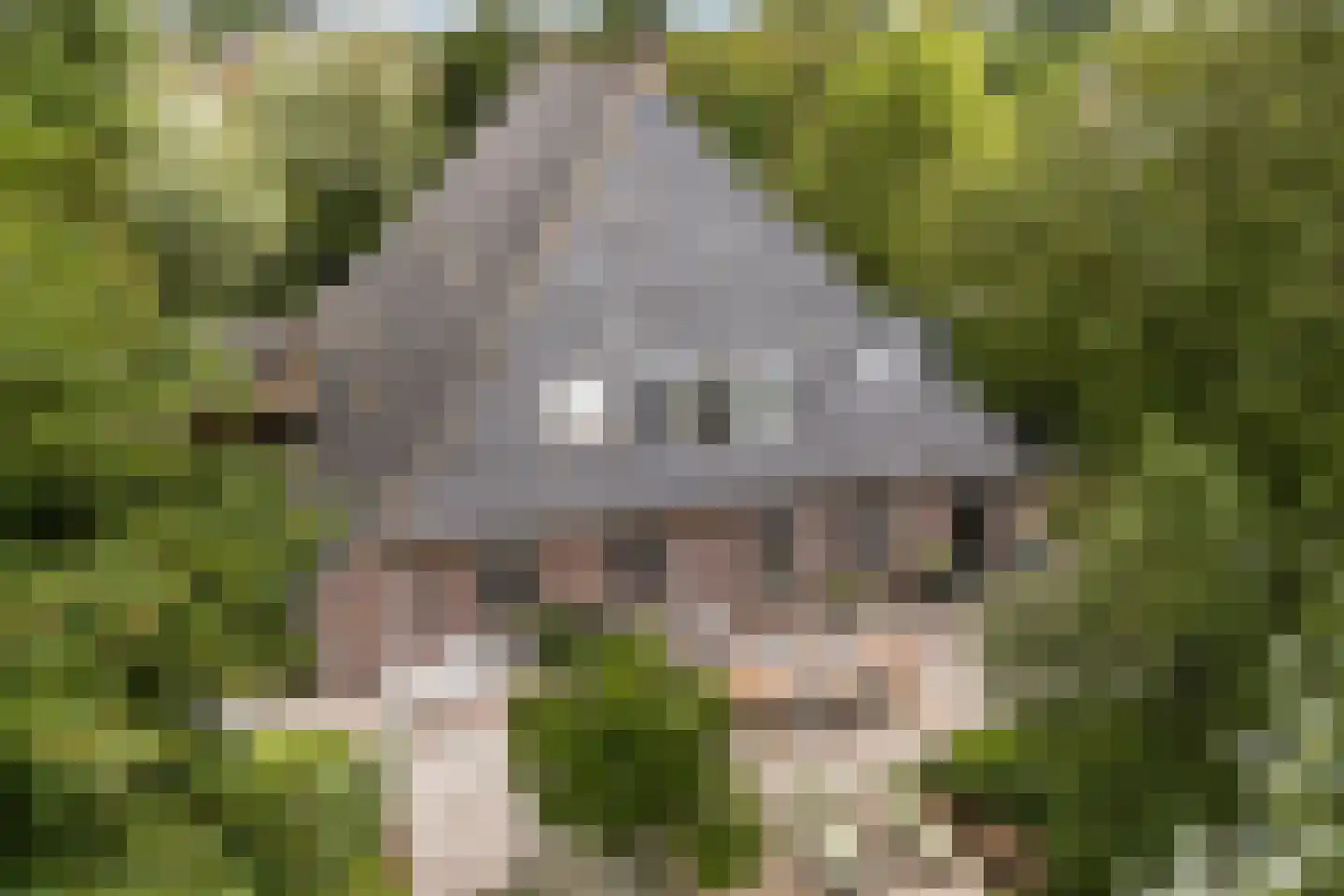 Grytmanswei 1 Nijewier thumbnail 7