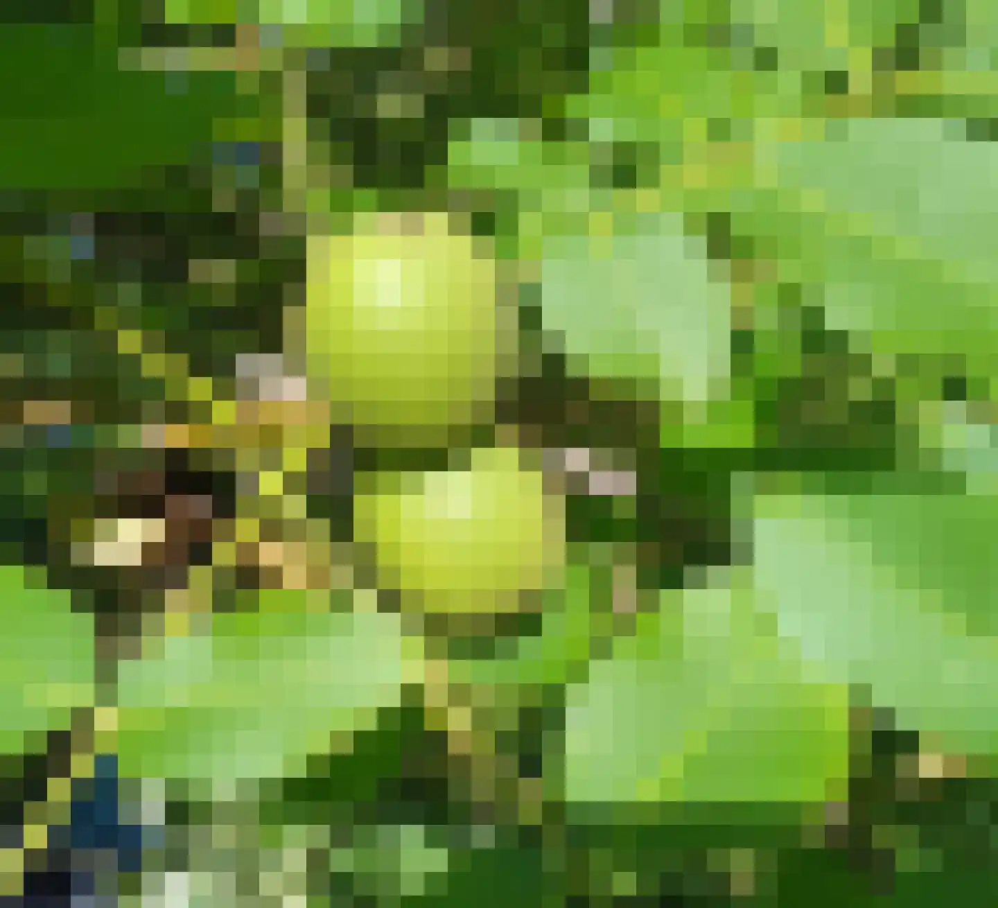 Grytmanswei 1 Nijewier thumbnail 70
