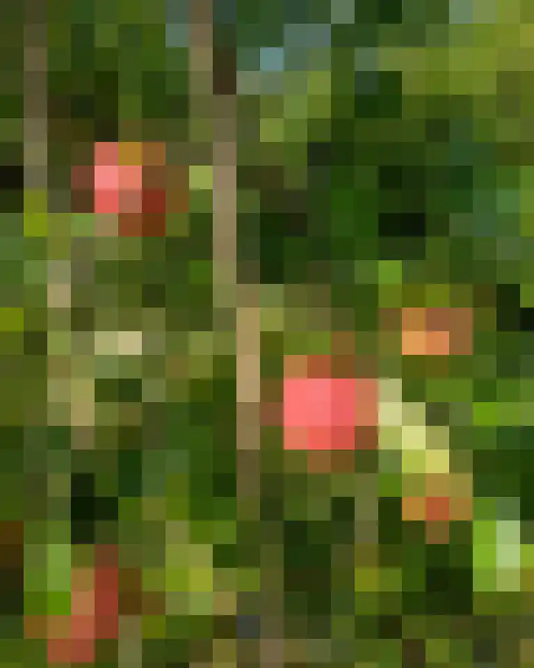 Grytmanswei 1 Nijewier thumbnail 71