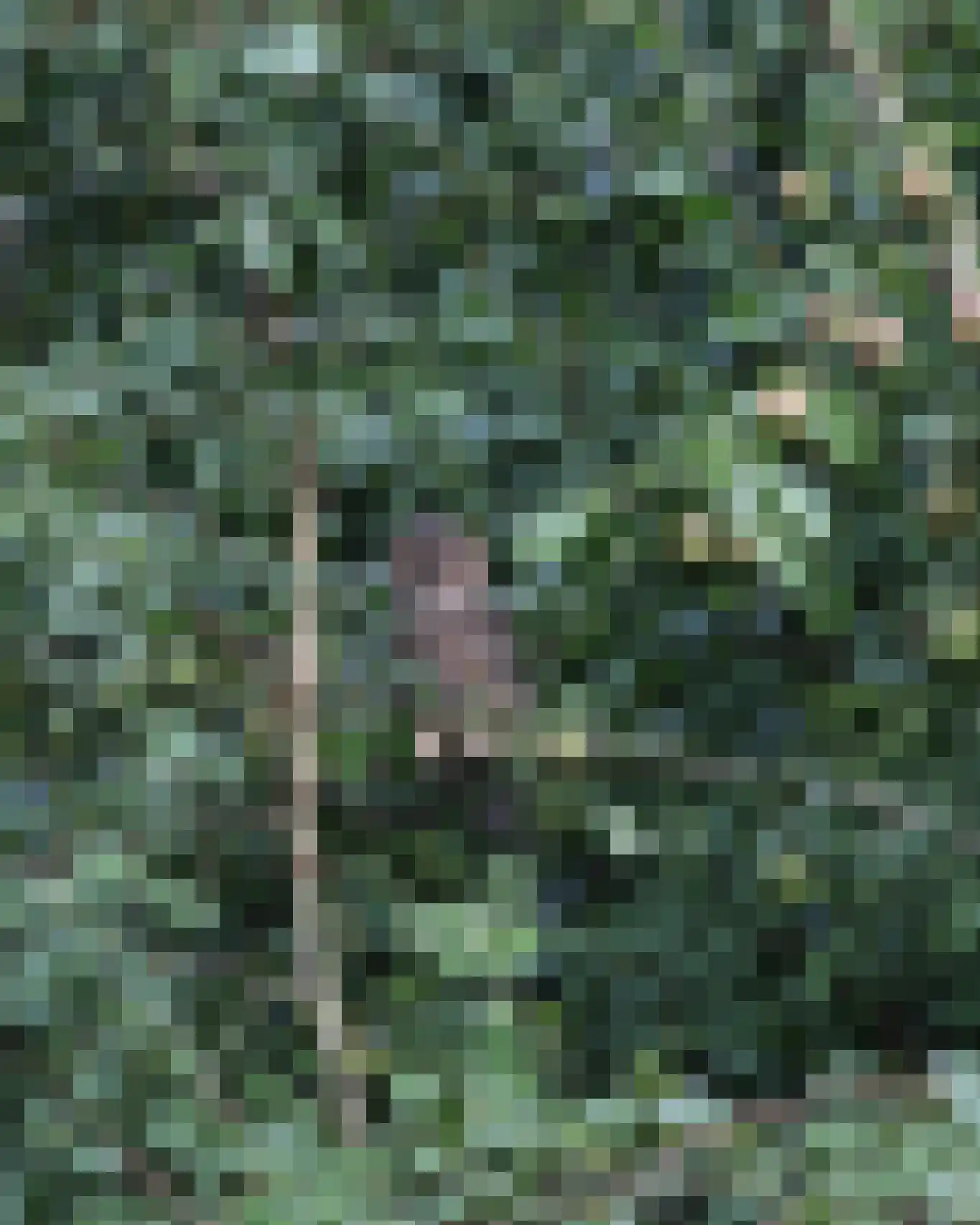 Grytmanswei 1 Nijewier thumbnail 72