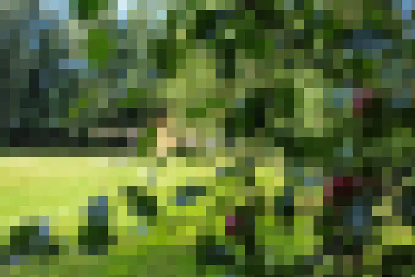 Grytmanswei 1 Nijewier thumbnail 73