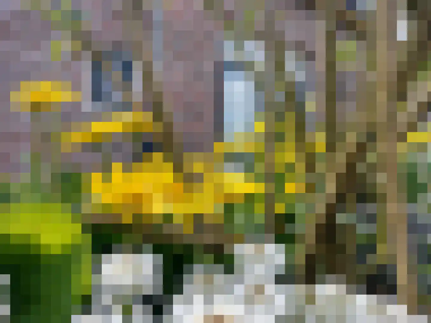 Grytmanswei 1 Nijewier thumbnail 74