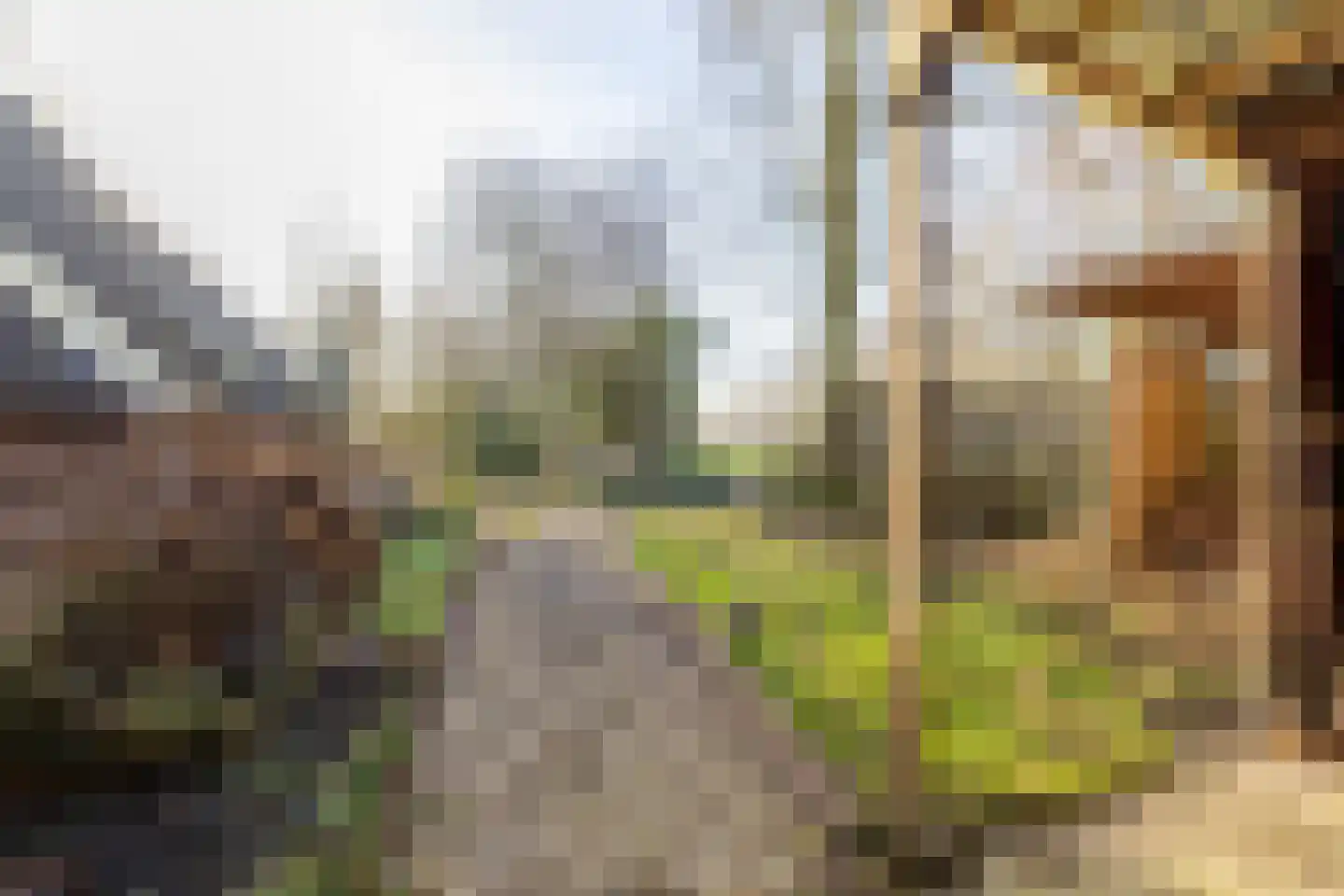 Grytmanswei 1 Nijewier thumbnail 76