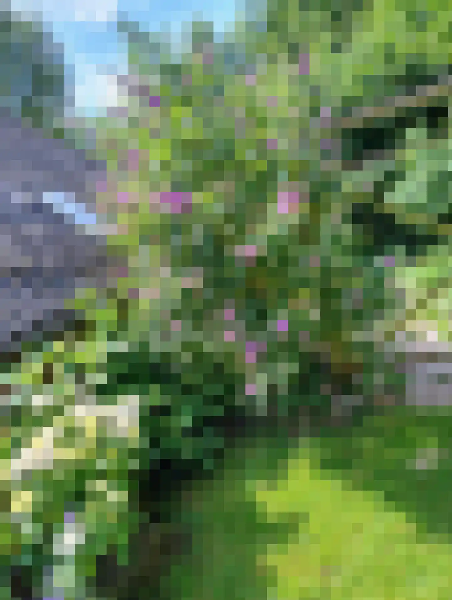 Grytmanswei 1 Nijewier thumbnail 77