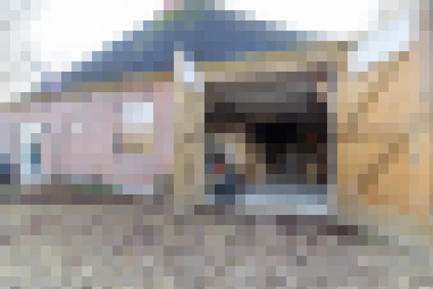 Grytmanswei 1 Nijewier thumbnail 78
