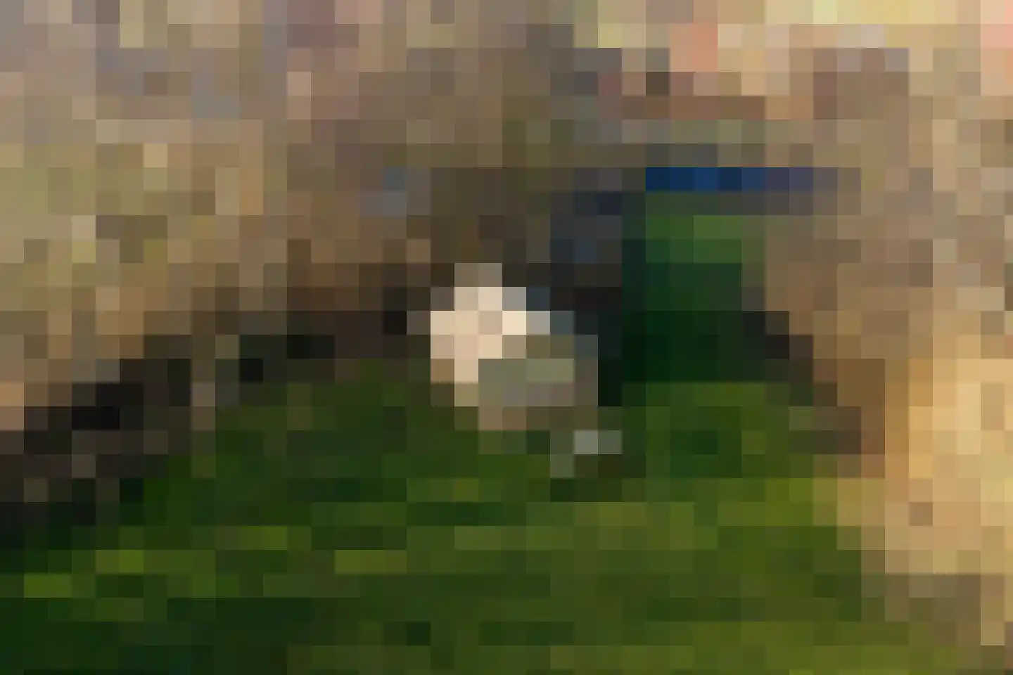 Grytmanswei 1 Nijewier thumbnail 88