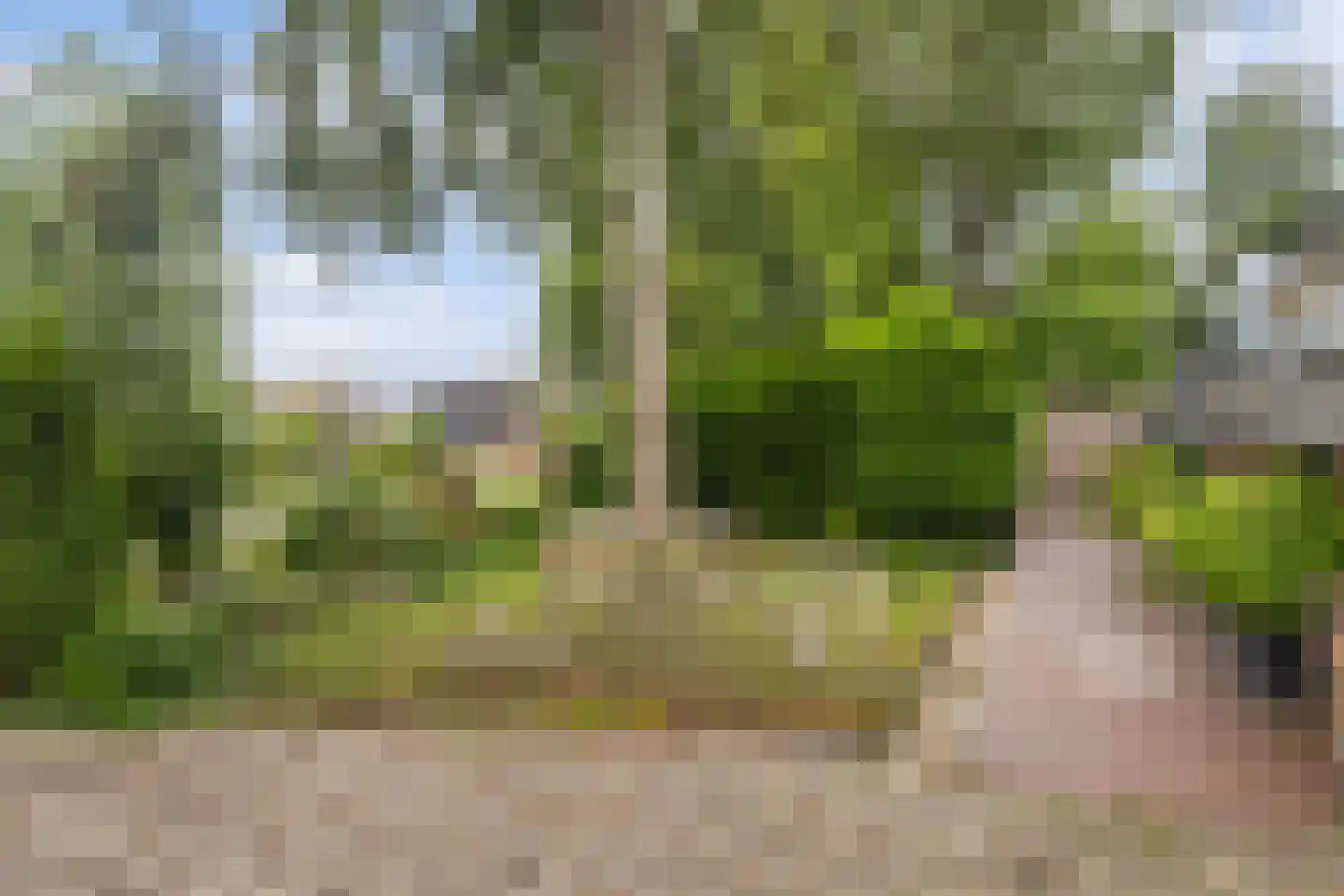 Grytmanswei 1 Nijewier thumbnail 9