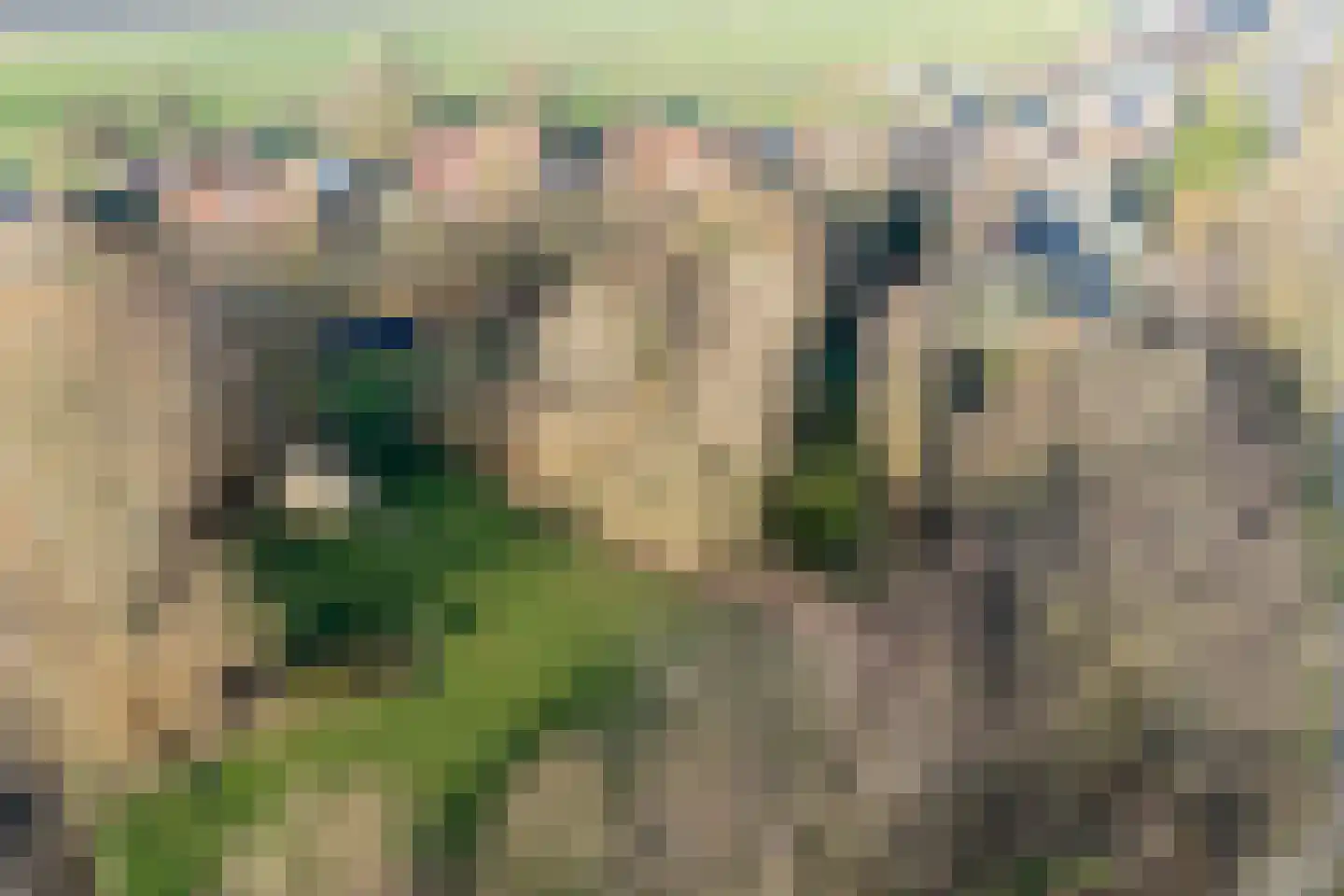 Grytmanswei 1 Nijewier thumbnail 91