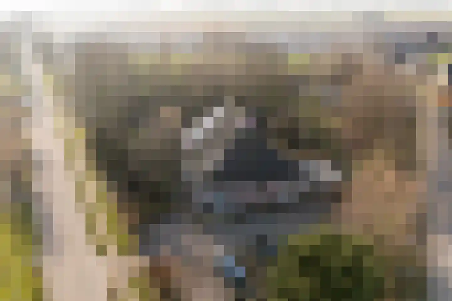 Grytmanswei 1 Nijewier thumbnail 94