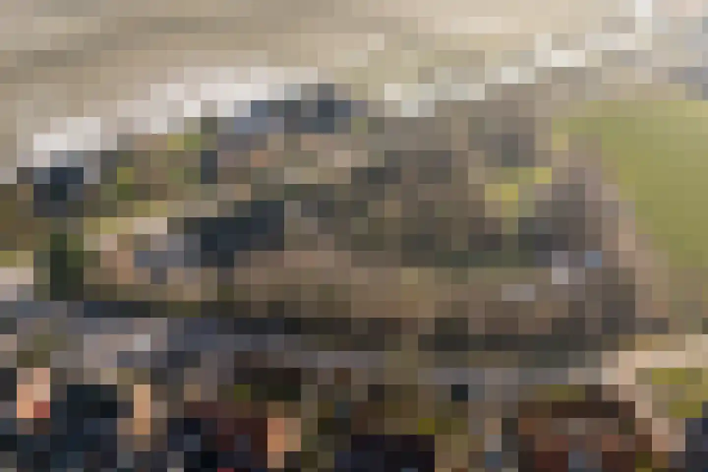 Grytmanswei 1 Nijewier thumbnail 96