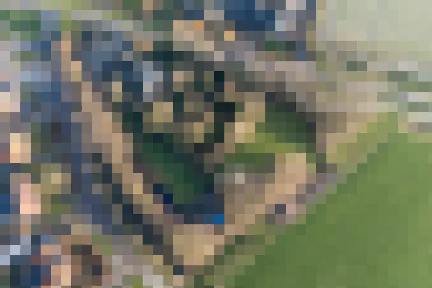 Grytmanswei 1 Nijewier thumbnail 97