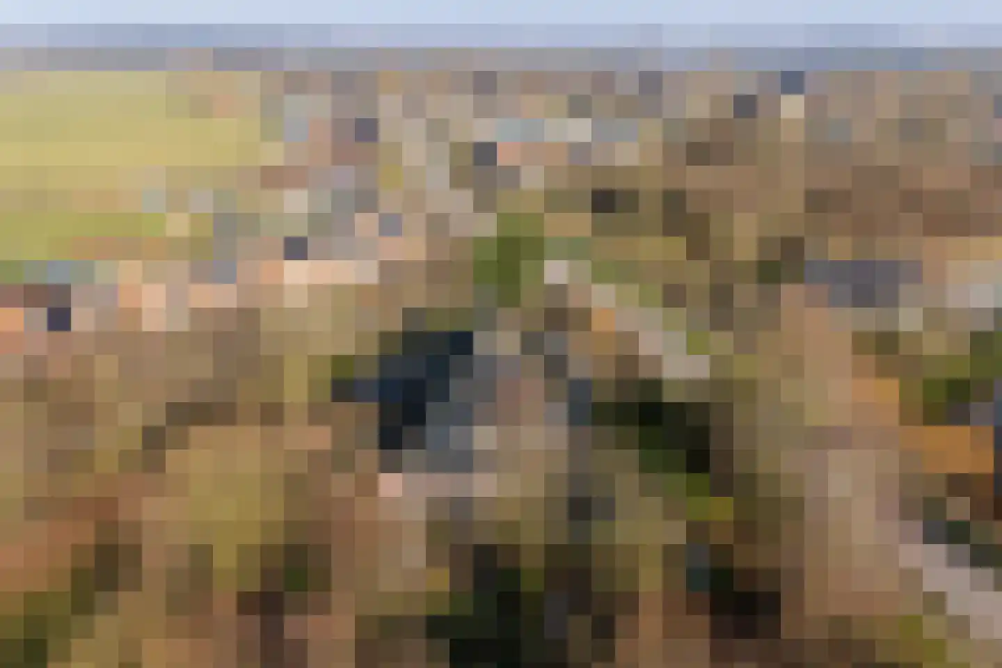 Grytmanswei 1 Nijewier thumbnail 99