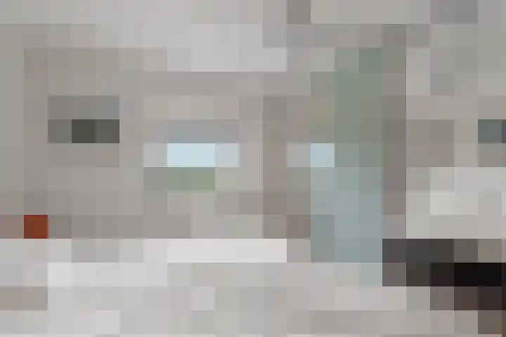Guadeloupestraat 51 Almere thumbnail 37