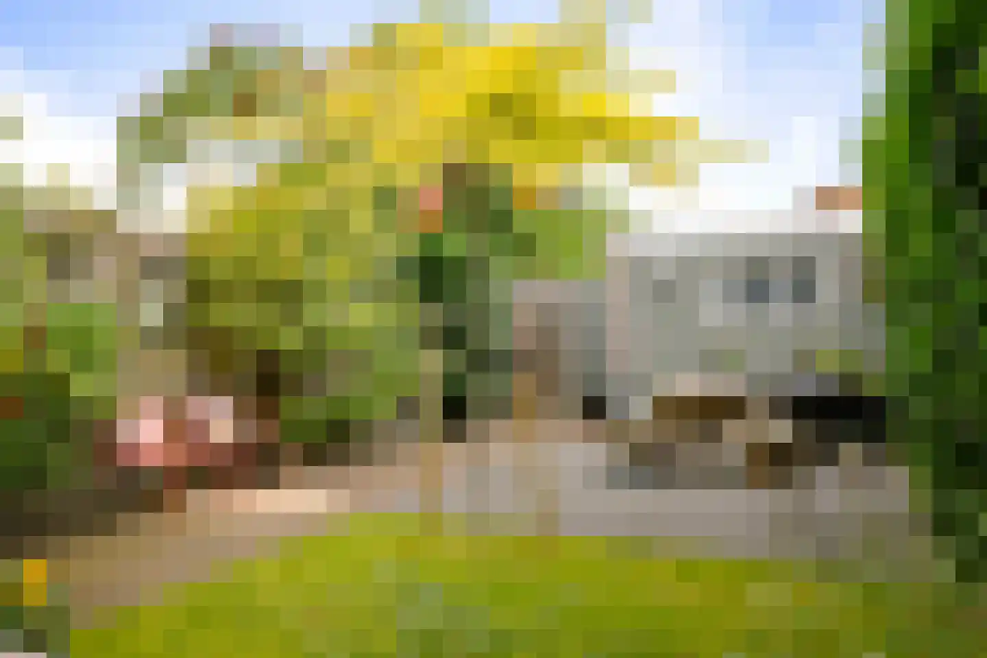 Gualtherus Sylvanusstraat 11 Deventer thumbnail 18