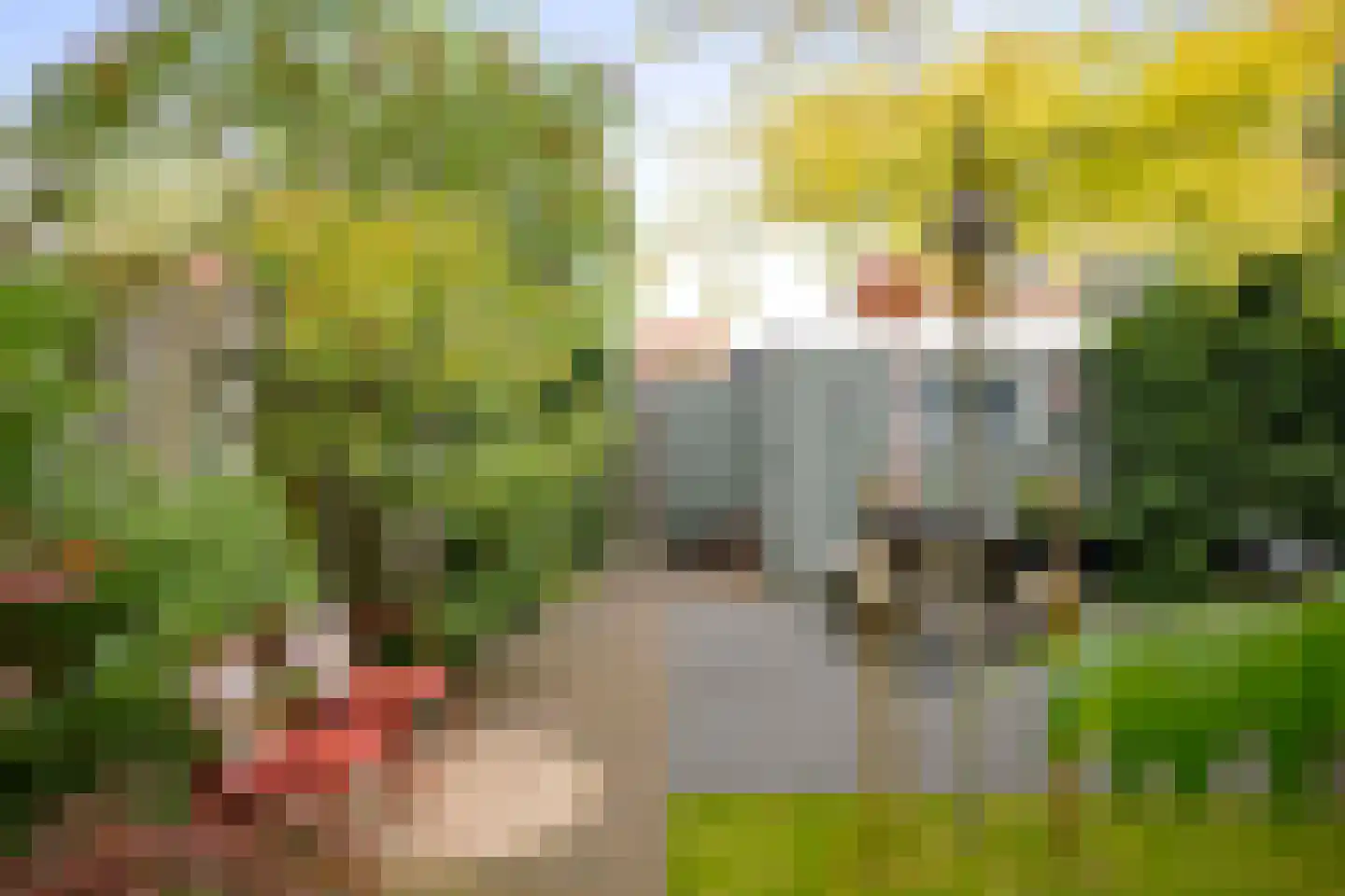 Gualtherus Sylvanusstraat 11 Deventer thumbnail 19