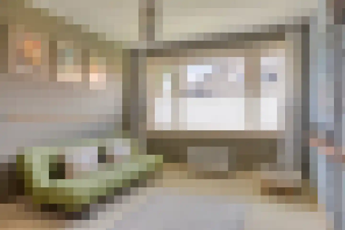 Gualtherus Sylvanusstraat 4 Deventer thumbnail 22