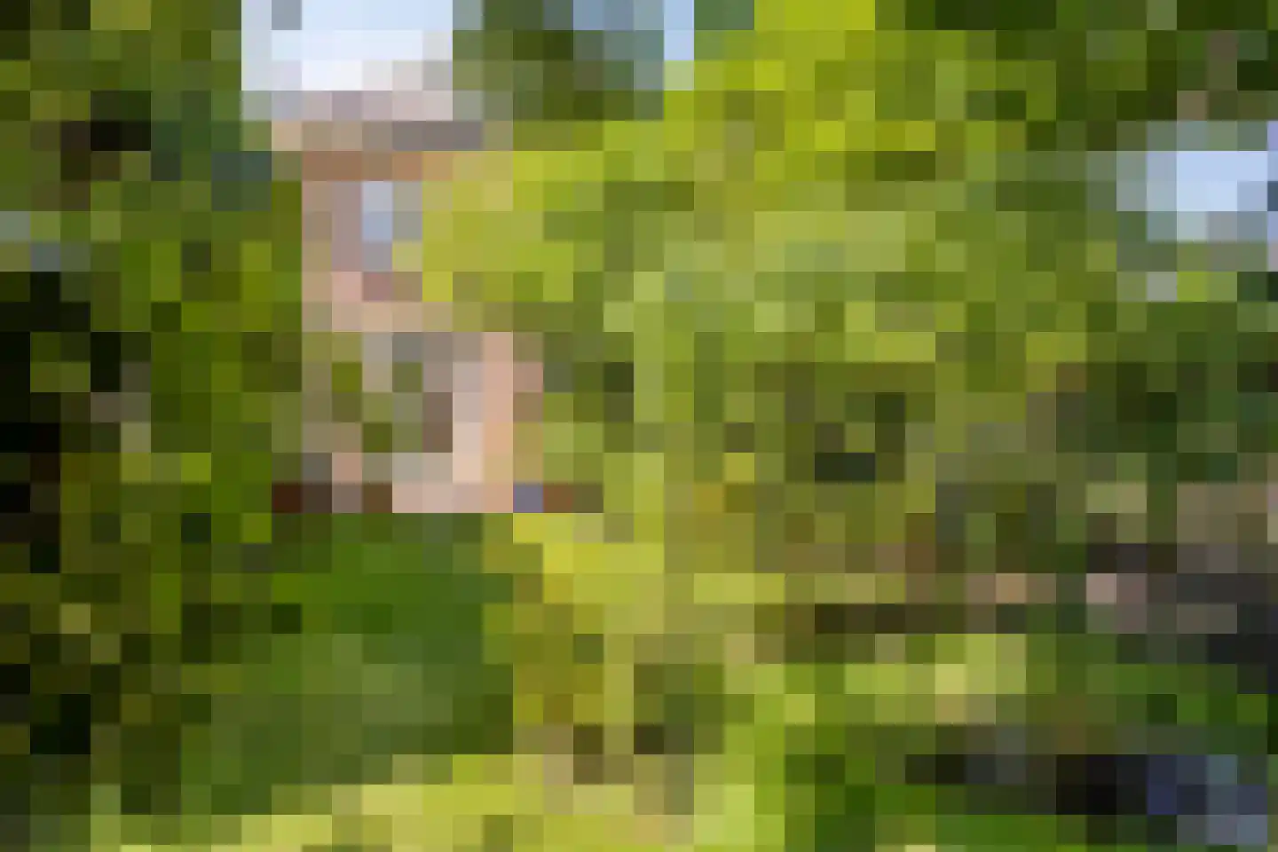 Gualtherus Sylvanusstraat 4 Deventer thumbnail 32