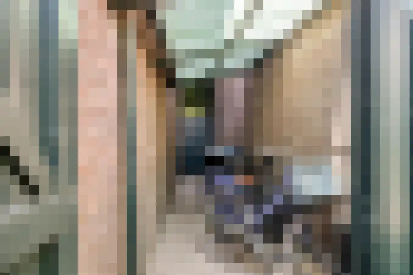 Gualtherus Sylvanusstraat 4 Deventer thumbnail 33