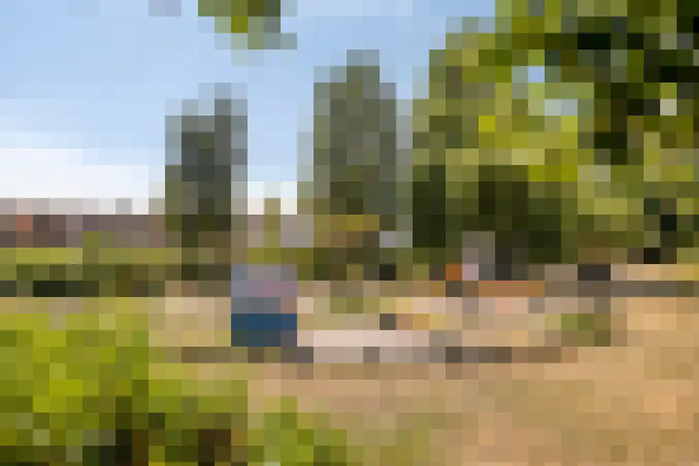 Gualtherus Sylvanusstraat 4 Deventer thumbnail 34