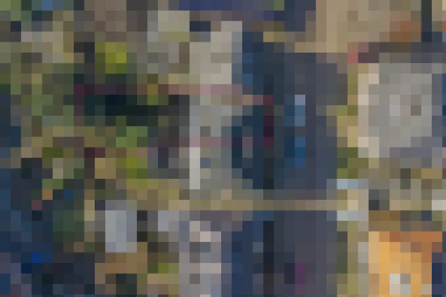 Gualtherus Sylvanusstraat 4 Deventer thumbnail 36