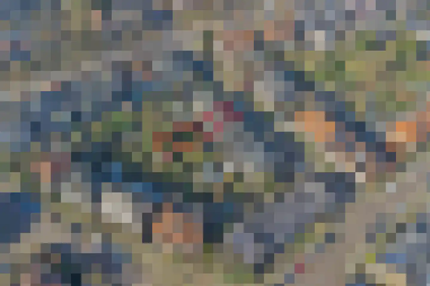 Gualtherus Sylvanusstraat 4 Deventer thumbnail 37