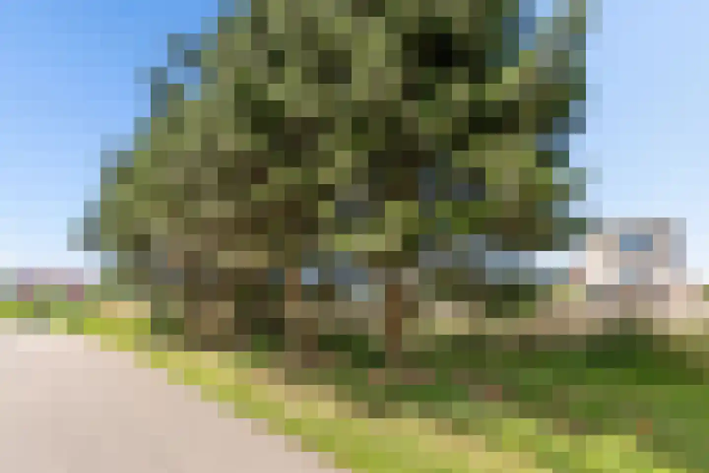 Guamstraat 4 E Almere thumbnail 38