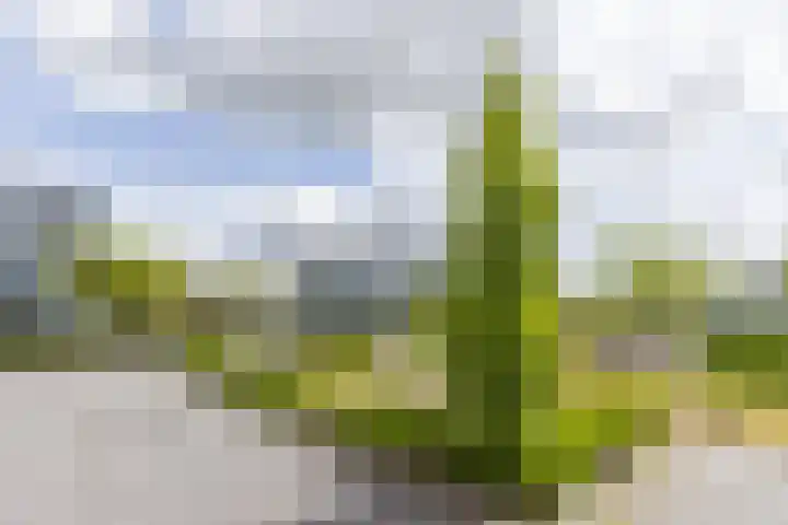 Guamstraat 4 F Almere thumbnail 5