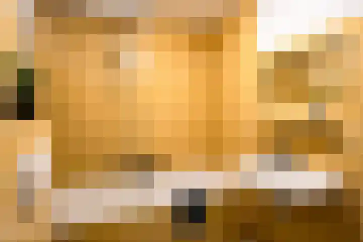Guardianenhof 2 's-Hertogenbosch thumbnail 13