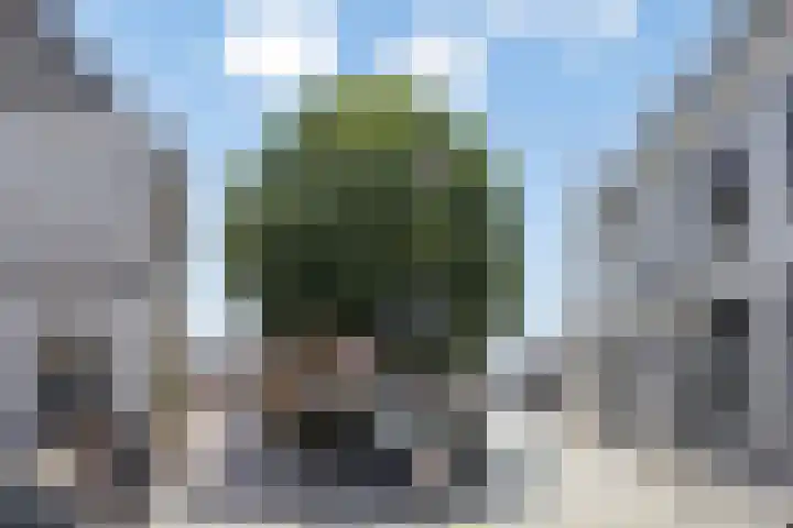 Guardianenhof 2 's-Hertogenbosch thumbnail 16